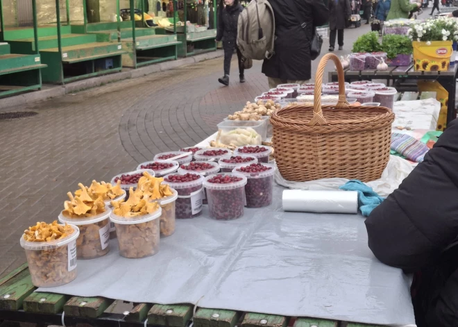 Latvijā joprojām turpinās sēņu sezona. Mikoloģe skaidro, kādēļ tā šogad ir "ievilkusies"