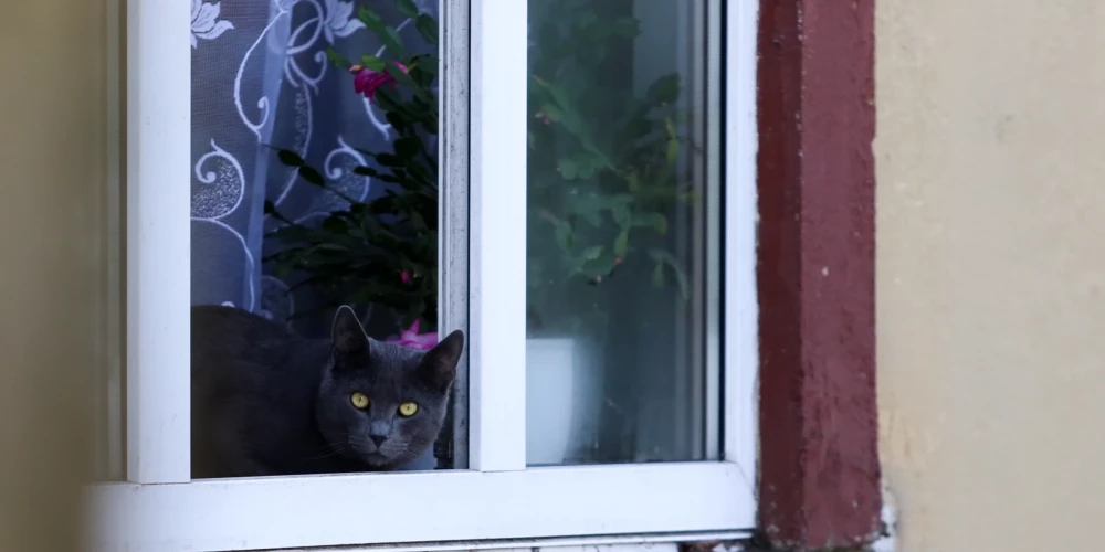 Ilustratīvs attēls.