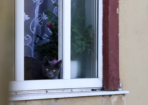 Ilustratīvs attēls.