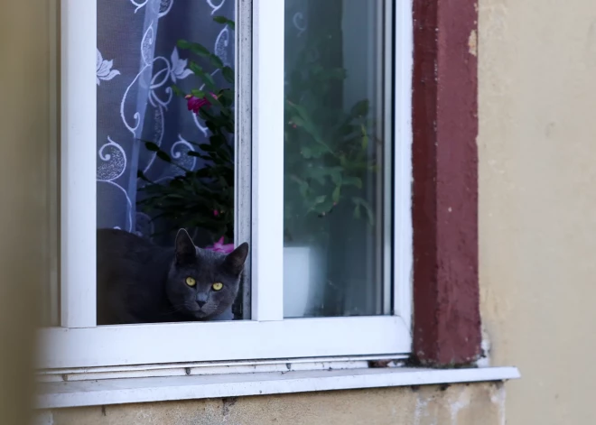 Vai cilvēks var vienlaikus paņemt divus hipotekāros kredītus? Skaidro eksperts