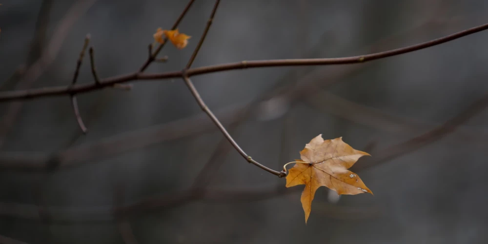 Иллюстративное фото.