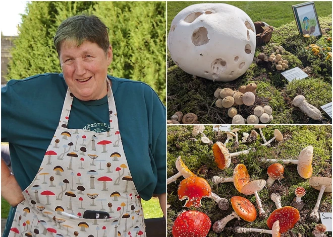 Sēņu pētīšana Līgai Jēkai mainīja dzīvi par 180 grādiem