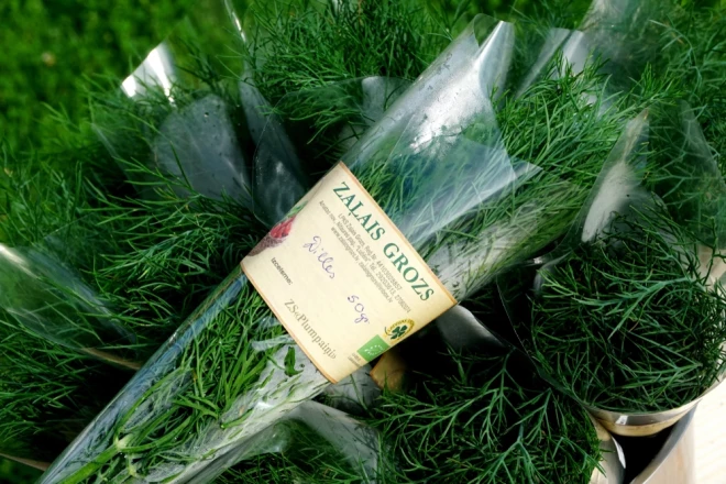 Bioloģiski, bez “ķīmijas” audzētas dilles no Nītaures.