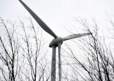 В четверг синоптики обещают рекордное потепление до +12°C