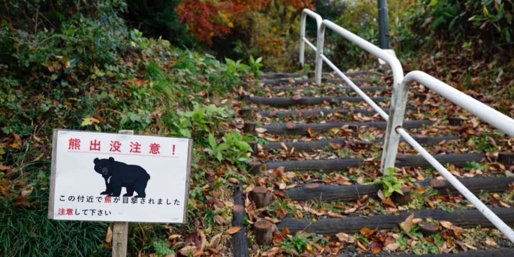 Japānā policistiem pret lāčiem ļauj izmantot šautenes. 