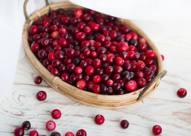 Tautas medicīna: kāpēc dzērvenes ir mūsu veselības superoga?