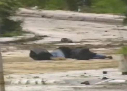 Snaiperu nogalinātie Sarajevas "Romeo un Džuljeta" pareizticīgais Boško Brkičs un musulmane Admira Ismiča (ekrānuzņēmums no video)