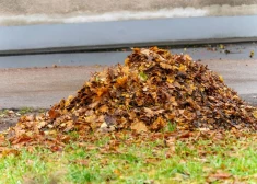 Iedzīvotāji Daugavpilī nodevuši vairāk nekā 200 tonnas bioloģiski noārdāmo atkritumu