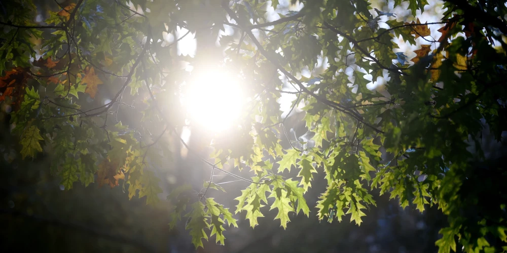 Latvijā pārspēti 20 siltuma rekordi.