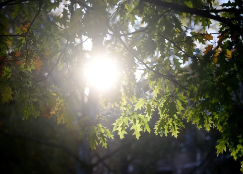 Latvijā pārspēti 20 siltuma rekordi.