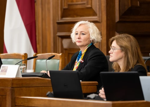 ZZS nav valdības iekšējais opozicionārs, uzsver ZZS politiķe, Saeimas priekšsēdētāja Daiga Mieriņa.