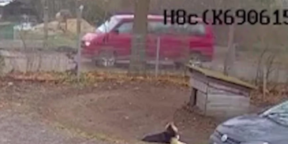 Полиция просит всех, кто узнал автомобиль на фотографии, сообщить об этом.