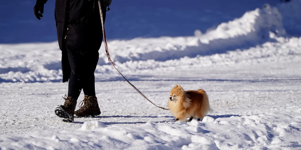 Соскучились по снегу?