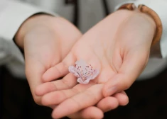 Tukuma novadā ieviests sociāls pakalpojums - "atelpas brīdis"