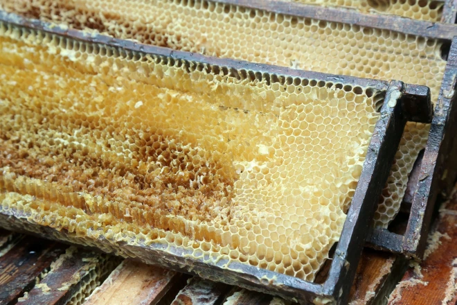 Latvijā vēsturiski ražo ļoti daudz dažādus produktus - medu, putekšņus, bišu maizi, vasku…