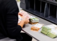 Divu miljonu zādzība nav iemesls, lai būtu jāsēž cietumā: negodprātīgai gramatvedei piemērota probācijas uzraudzība