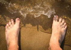 Kanāriju salās uzliesmo ļoti lipīga vīrusu slimība