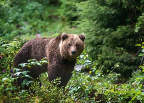 Иллюстративное фото.