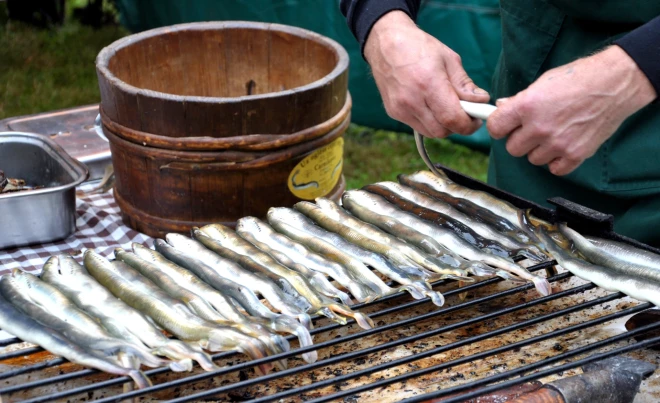 Nēģi kūpināšanas process.