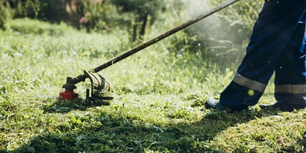 Даугавпилс объявляет войну бурьяну и беспорядку.