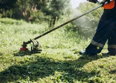 Даугавпилсская дума берется за заросшие участки - нерадивые хозяева получат крупные штрафы