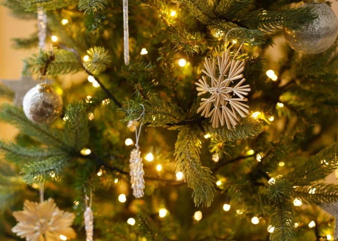 Pašvaldība meklē egli Aizkraukles centrālā laukuma rotāšanai 