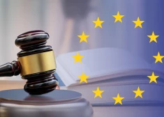 Латвия в суде: число дел против нашей страны в ЕСПЧ сократилось, но решений стало больше