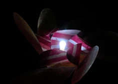 Надвигаются циклоны: Латвию ждут дожди, мокрый снег, порывистый ветер и гололедица