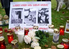 Bauskā meklē pašvaldības policijas priekšnieku. Iepriekšējais atlaists pēc triju suņu nošaušanas skandāla, kas izraisīja sašutuma vētru