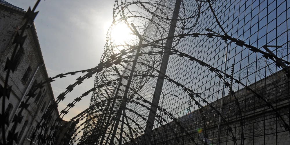 Лишение свободы — самый частый приговор.