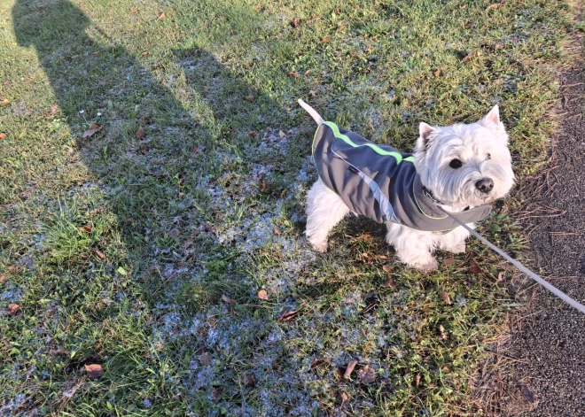 FOTO un VIDEO: ļaudis parāda skatus ar pirmo sniegu Latvijā