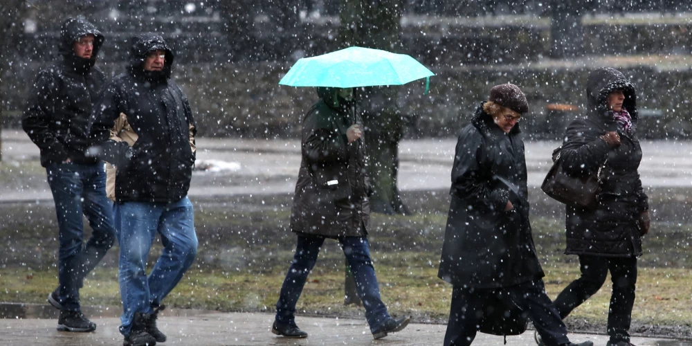 Иллюстративное фото.