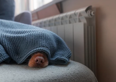 "Jūrmalas siltuma" siltumenerģijas tarifs no 2025. gada 1. novembra ir 80,93 eiro par MWh, bet no 1. decembra tas pieaugs līdz 86,34 eiro par MWh.