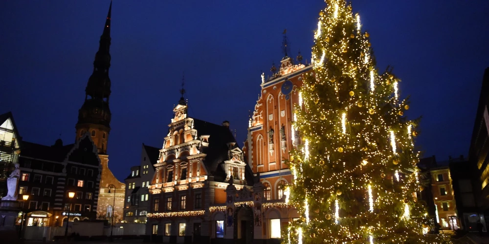 В Риге выбирают главные рождественские елки.