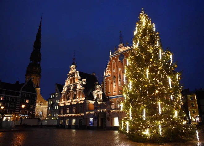 Мэр Риги и горожане ищут идеальные елки для грядущего праздника