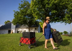 Каждый второй житель Риги задумался о переезде - что происходит?