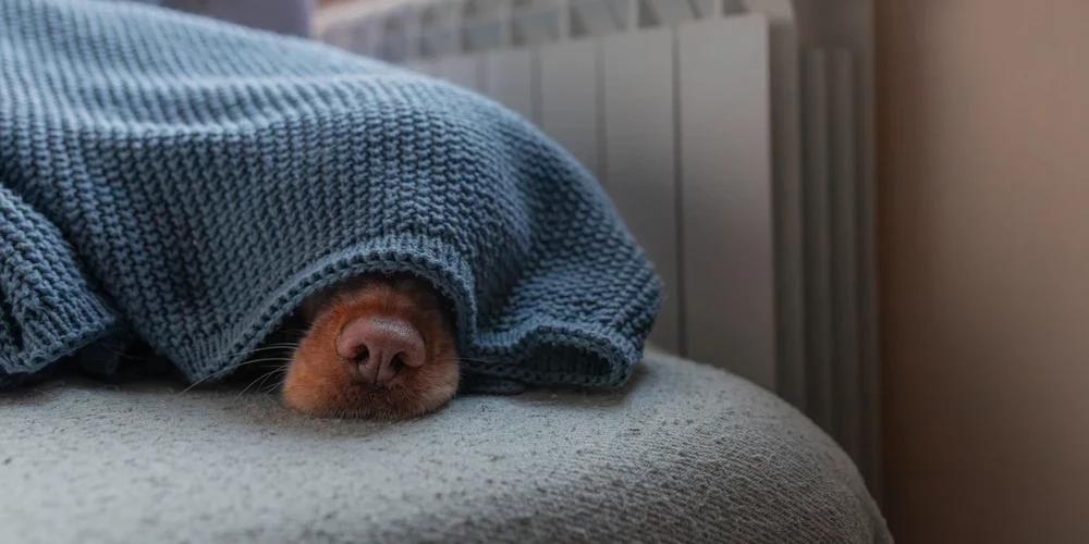 Иллюстративное фото.