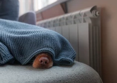 Отопление в Юрмале подорожает с нового года