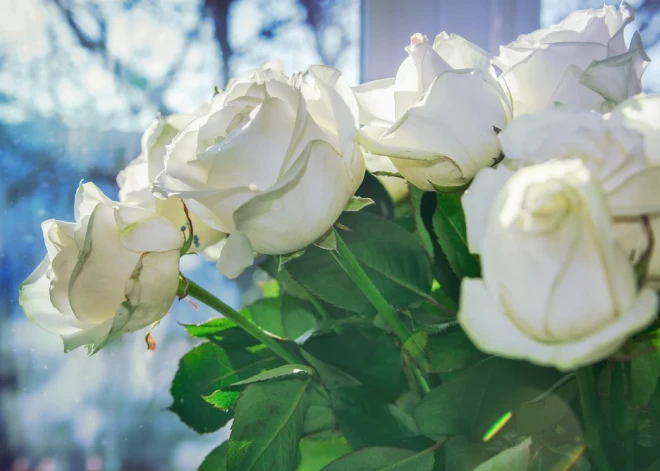 Šonedēļ populārākie vārdi – Aleksandrs un Elizabete