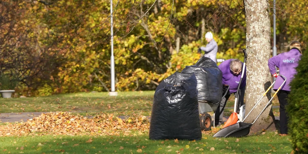 Kailgliemežu pārbaudes lapu nodošanas kampaņā notiek tikai "uz papīra".
