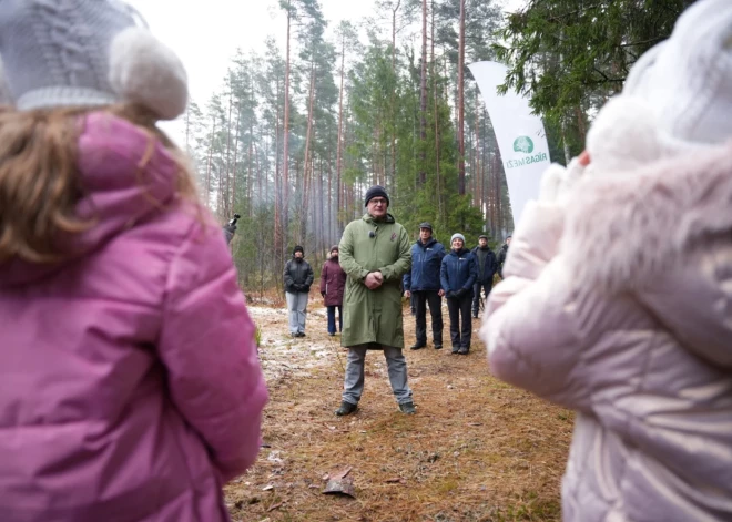 Rīgas mērs Viesturs Kleinbergs kopā ar pašvaldības uzņēmuma "Rīgas meži" pārstāvjiem, kā arī bērnu un jauniešu vokālās studijas "RASA'' dalībniekiem izraudzīja galvenās Ziemassvētku egles.