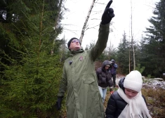 FOTO: Tīreļu mežos atrastas Rīgas galvenās Ziemassvētku egles
