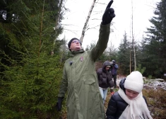 ФОТО: главные рождественские елки для Риги найдены в Тирельских лесах