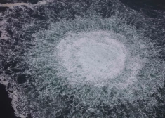 "Nord Stream" spridzināšanā apsūdzētais ukrainis tiks nodots Vācijai