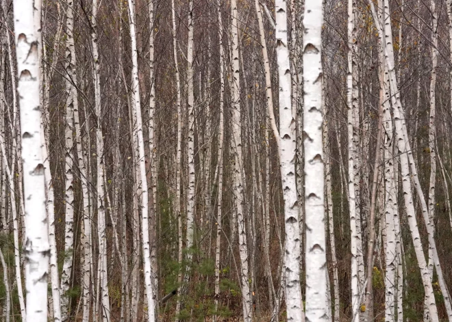 В четверг существенных осадков не ожидается