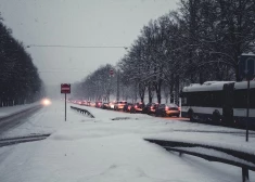 Vissezonas riepas: par un pret, un uz kādiem zīmoliem vērts skatīties?