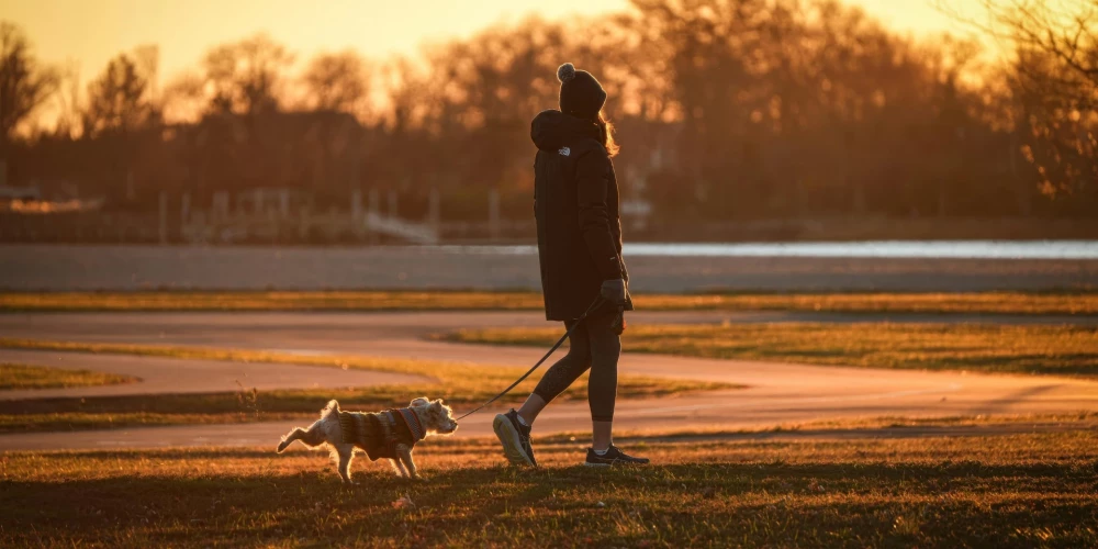 Ilustratīvs attēls.