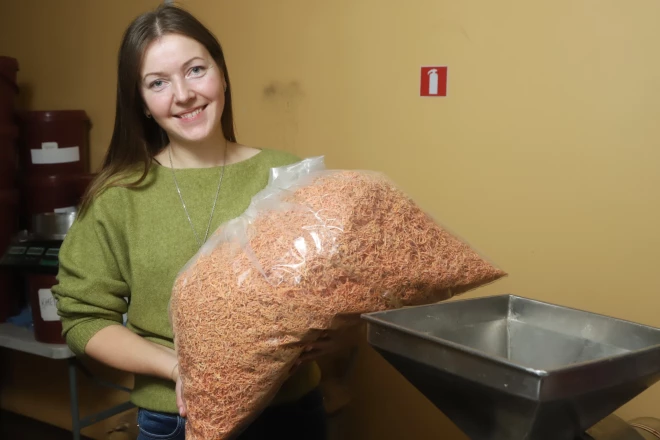 Šādi izskatās kaltēti burkāni, kas sagatavoti garšvielu maisījumiem, demonstrē Zanda Trukšāne.
