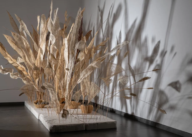 Decembrī varēs nobaudīt mākslinieces Dzintras Vilks izstādi "Pat ja tumsa, pat ja sals..." galerijā "Daugava"