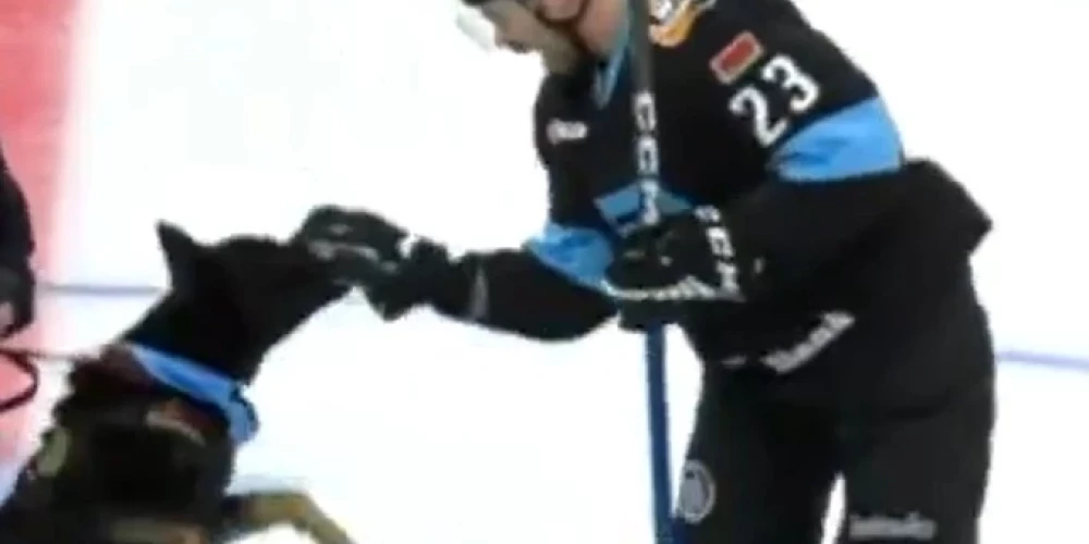 Suns iekožas Andreja Stasa cimdā.